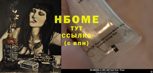 хмурый Новозыбков