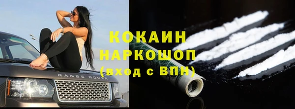 дживик Новодвинск