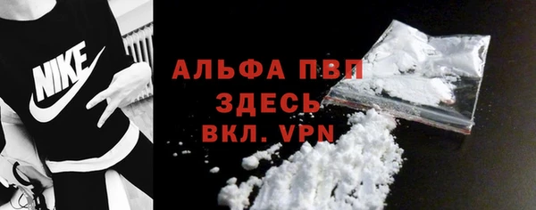 шишки Нязепетровск