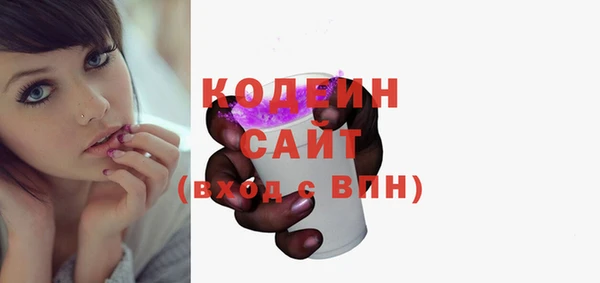хмурый Новозыбков