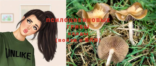 хмурый Новозыбков
