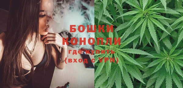 хмурый Новозыбков