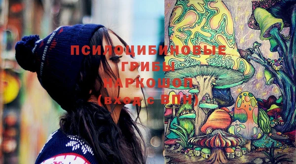 дживик Новодвинск