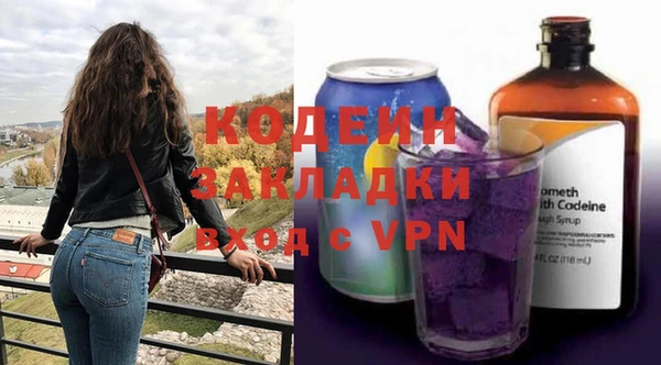 хмурый Новозыбков