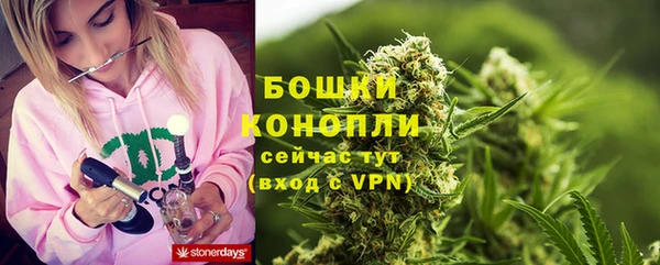 дживик Новодвинск
