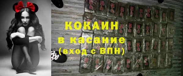 дживик Новодвинск