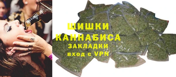 хмурый Новозыбков