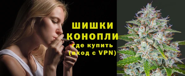 дживик Новодвинск