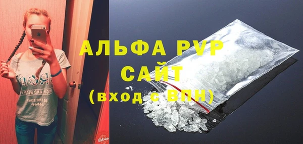 хмурый Новозыбков
