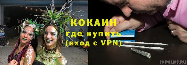 дживик Новодвинск