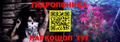 мяу мяу мука Гай