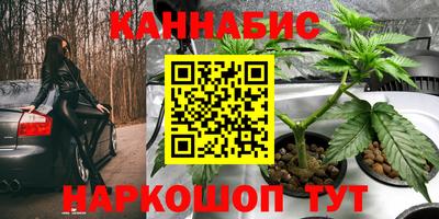 мяу мяу мука Гай
