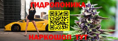 мяу мяу мука Гай
