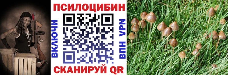 где найти   Кингисепп  Галлюциногенные грибы мухоморы 