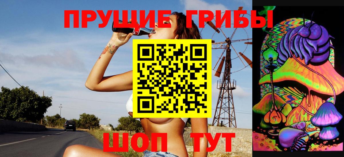 Codein Кингисепп