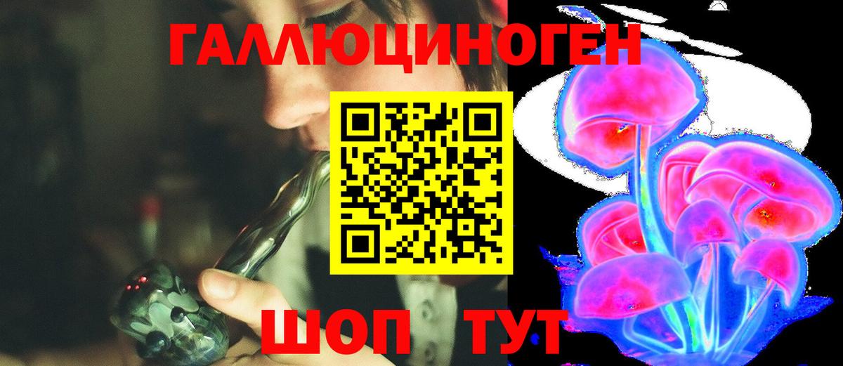 Кингисепп  Галлюциногенные грибы Cubensis  Вход с VPN 
