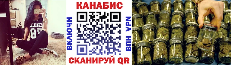 где найти наркотики  Кингисепп  Шишки марихуана Amnesia 